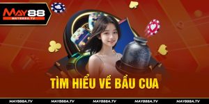 Tìm hiểu về bầu cua